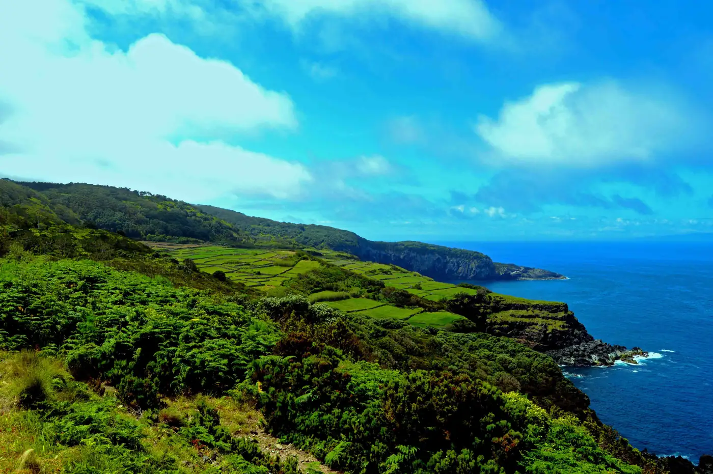 Encosta verde e recortada da costa oeste a descer até ao mar azul